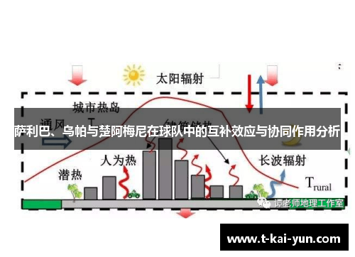 萨利巴、乌帕与楚阿梅尼在球队中的互补效应与协同作用分析 萨利巴、乌帕与楚阿梅尼在球队中的互补效应与协同作用分析